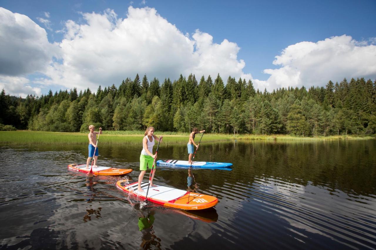 Ferienwohnung Am Schwellenweiher フェルトベルク エクステリア 写真