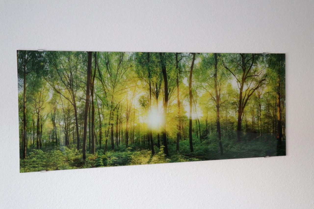 Ferienwohnung Am Schwellenweiher フェルトベルク エクステリア 写真