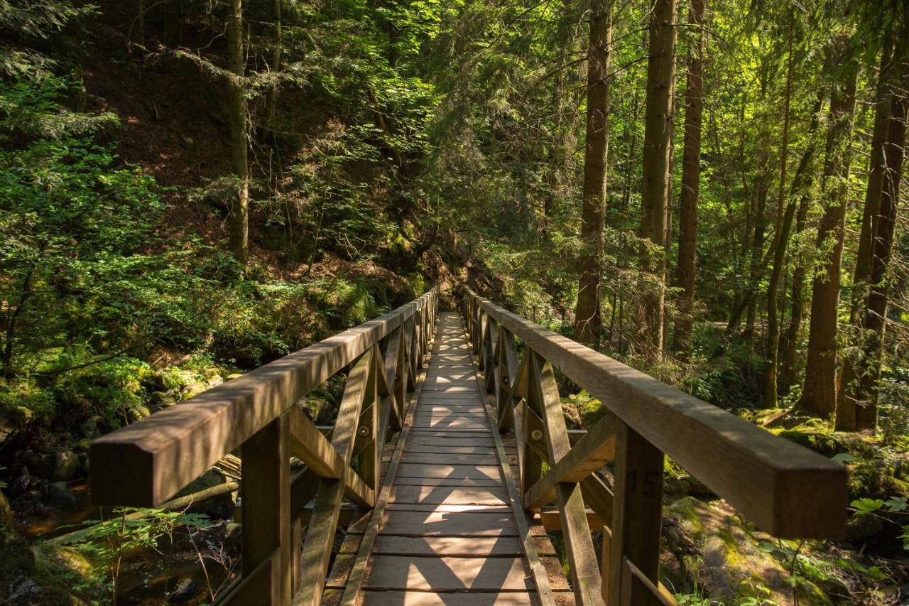 Ferienwohnung Am Schwellenweiher フェルトベルク エクステリア 写真