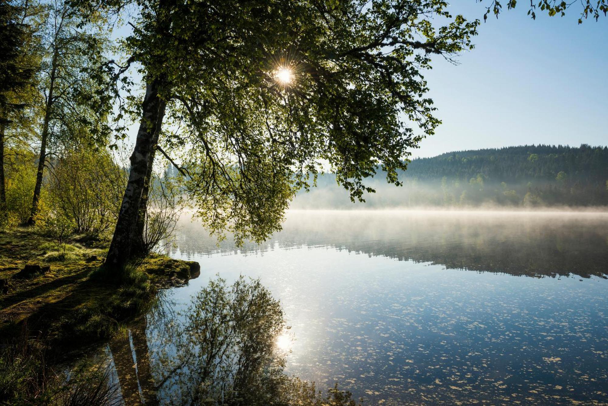 Ferienwohnung Am Schwellenweiher フェルトベルク エクステリア 写真