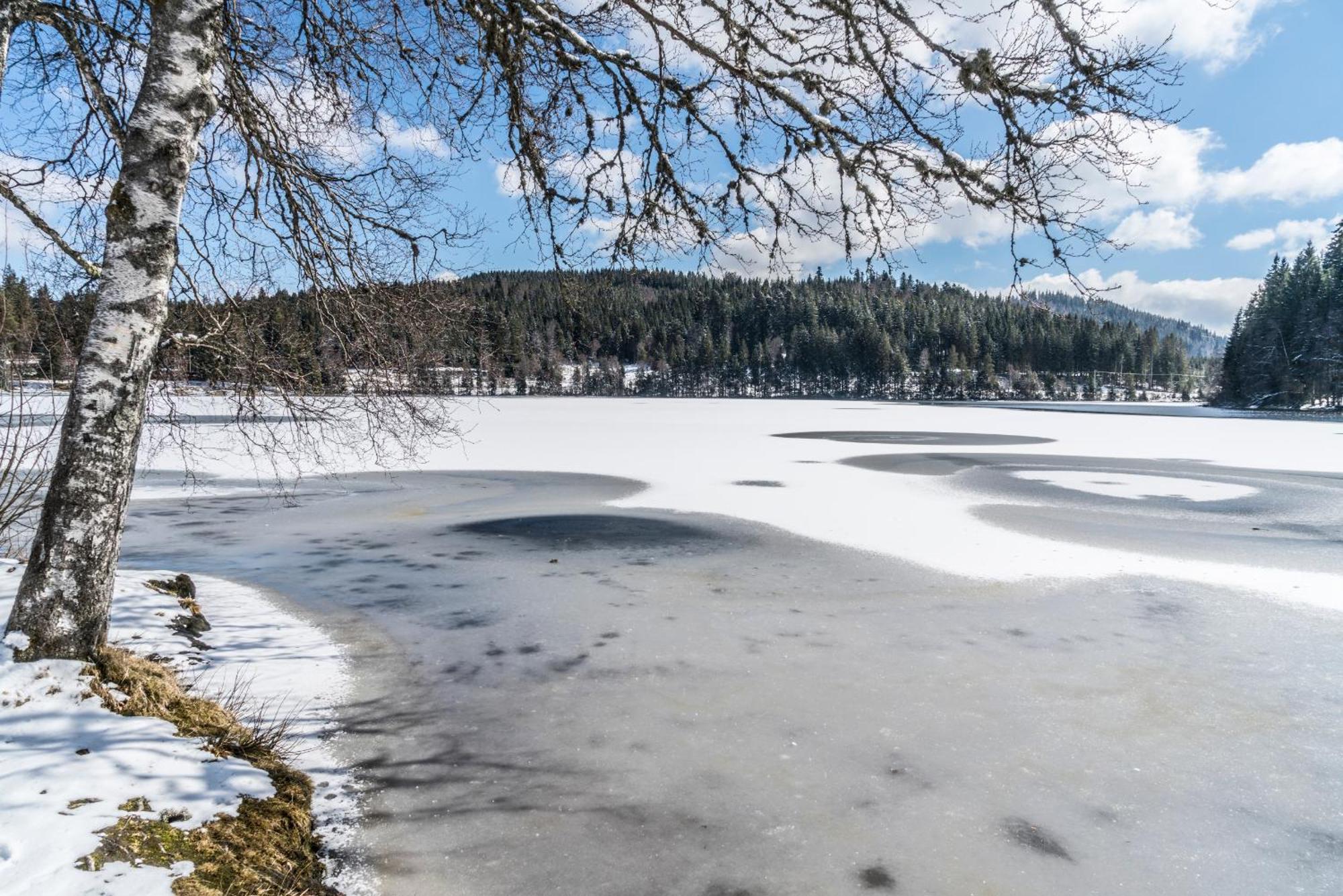 Ferienwohnung Am Schwellenweiher フェルトベルク エクステリア 写真