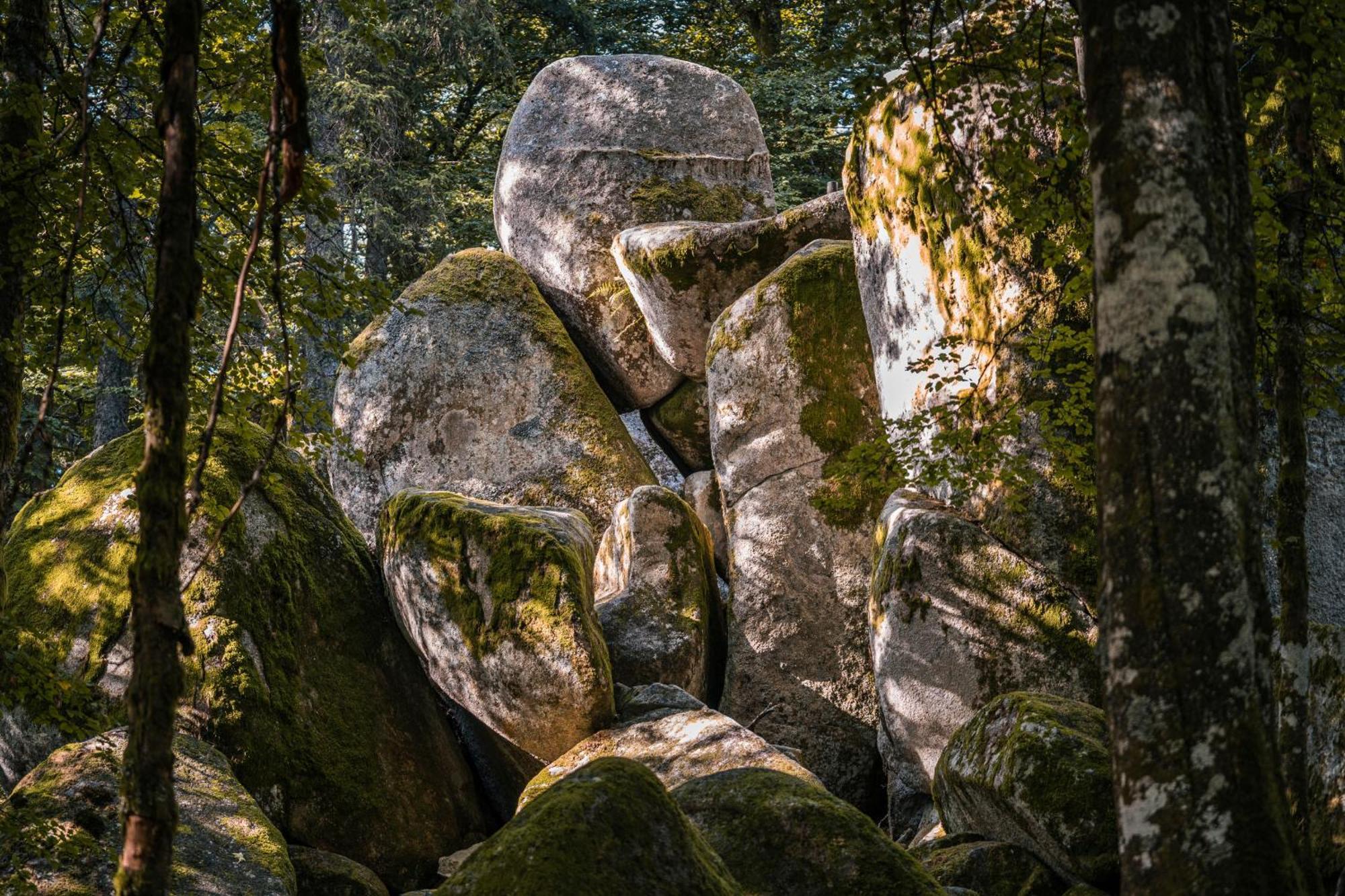 Ferienwohnung Am Schwellenweiher フェルトベルク エクステリア 写真