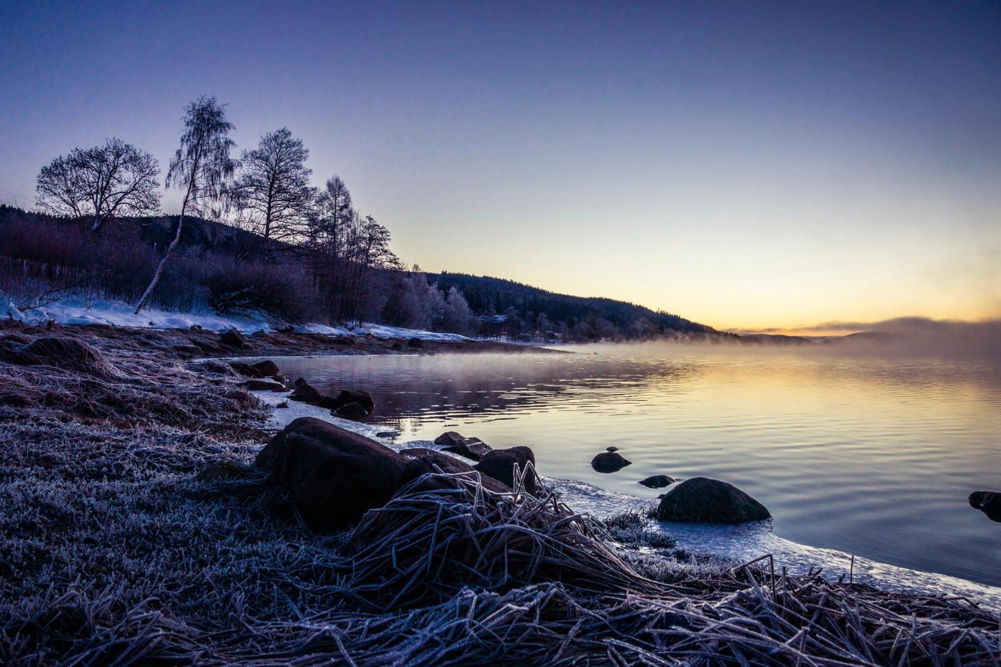 Ferienwohnung Am Schwellenweiher フェルトベルク エクステリア 写真